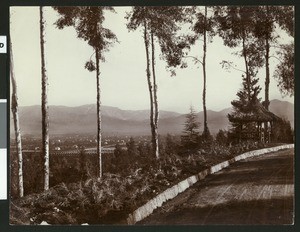 Scenery in Redlands, showing a straw hut and a dirt road, ca.1900