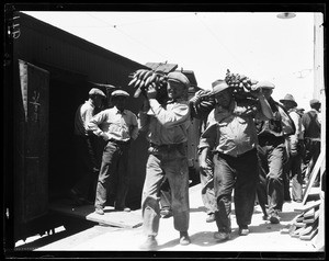 Group of stevedores unloading bananas to refrigerator cars at the Los Angeles Harbor, 1928