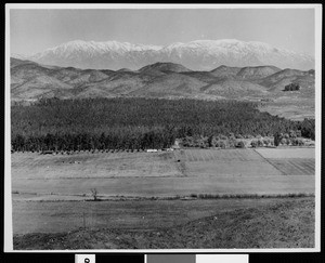 Unidentified agricultural area with snowy mountains in the background