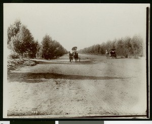 Carriages on Calexico's Cottonwood Drive, ca.1910