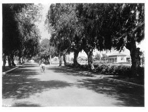 View of Santa Barbara Avenue (later Martin Luther King Boulevard) west of Vermont Avenue, Los Angeles, ca.1910