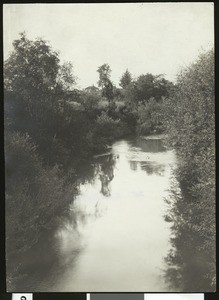 Unidentified riverside scene that appears to show the river coming to an end in a marshy area, ca.1950