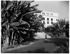 Woman in a park near the south side of an unidentified city hall building, October, 1943