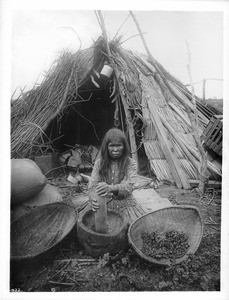 Paiute indian woman grinding acorns for flour, Lemoore, Kings County, ca.1900