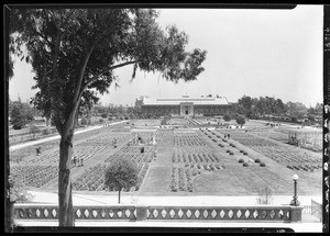 Exposition Park (formerly Agricultural Park), showing field of roses and plants, 1930