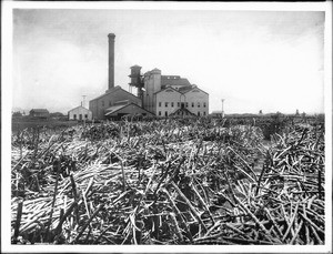 Sugar mill in Hawaii