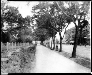 Main Street looking from Twelfth Street in front of a children's residence, 1906