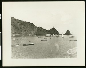 Small boats moored in Avalon Harbor, 1892