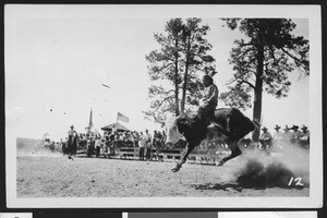 Man riding a bull at a rodeo that is part of Prescott Frontier Days, ca.1930