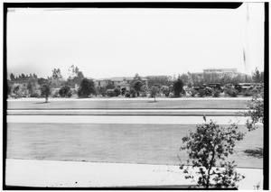 View of houses across the street from the University of California at Los Angeles