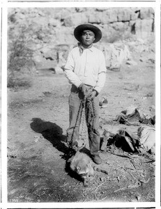 Havasupai Indian boy with a captured raccoon, ca.1899