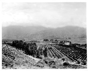 Panoramic view of East Glendale, ca.1910