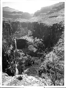 View from above towards Mooney Falls in Havasu Canyon, Grand Canyon, ca.1899