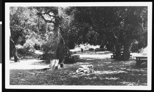 A picnic ground with tables and campfire sites, ca.1930