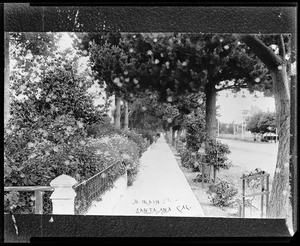 View of a sidewalk bordering North Main Street in Santa Ana, ca.1905