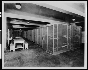 Interior view of cells and tables in the Los Angeles County Jail, 1920-1929