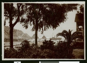 View of Avalon harbor from behind a row of trees, ca.1910