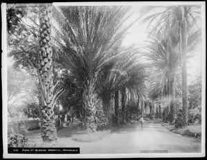 Park at Queen's Hospital, Honolulu, Hawaii, 1907