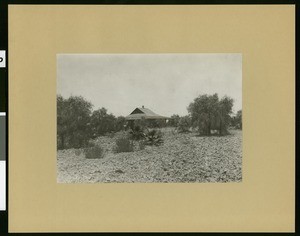 Exterior view of the Holtville Public Library, ca.1910