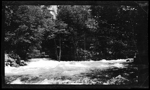 Choppy river moving near line of trees, showing three women on a bridge nearby, Yellowstone National Park