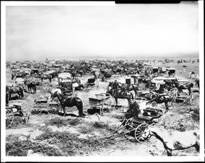 A lot full of carriages and their horses in Long Beach, California, ca.1905