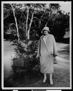 California Botanic Gardens tree planted by Mary Pickford