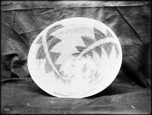 Indian basket displayed in front of a cloth backdrop, ca.1900