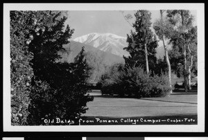 Old Baldy from Pomona College Campus, ca.1900