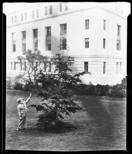 Person touching the branch of a Christmas tree outside a building