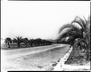 View of Formosa Street (Canon Drive?) in Beverly Hills, ca.1915-1920