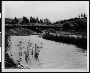 Stream and foot bridge in Eastlake Park (later Lincoln Park), ca.1880