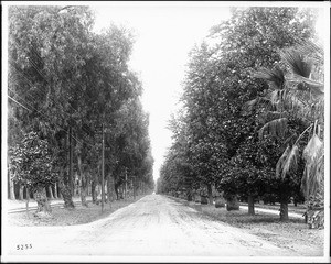 A view of Magnolia Avenue in Riverside