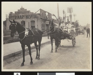 Horse-drawn coach in the La Fiesta de Los Angeles celebration, ca.1901