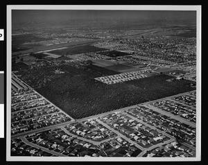 Aerial view of Whittier Downs, Unit 5, looking northwest, April 1949