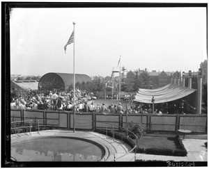 Crowd watching a diving event
