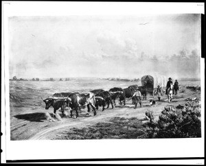 Drawing by Tom Hill, called "Crossing the Plains," showing a chain of ox-drawn covered wagons, ca.1850