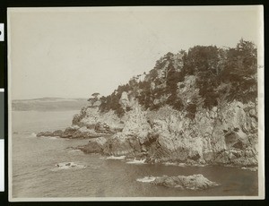 Point Lobos in Monterey, ca.1900