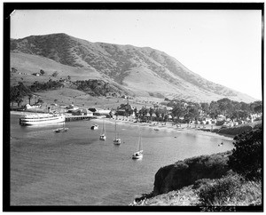 View of a beach at Catalina Island, showing pier and boats in water
