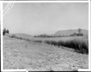 Panoramic view of Cahuenga Pass, Mount Hollywood, and the San Fernando Valley, Hollywood, ca.1915