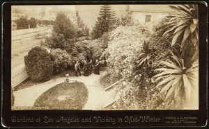 Birdseye view of a residential garden on Third Street