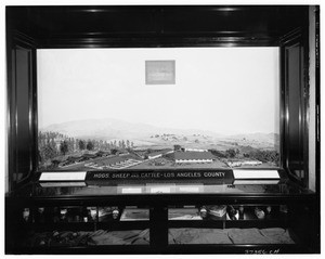 Diorama of hogs, sheep, and cattle, September 20, 1928