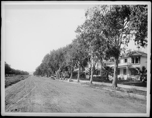 Ocean Avenue in Santa Monica, showing residences, ca.1900