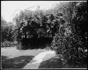 Mrs. Michael Connell's home, showing views of yards, ca.1900