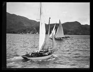 Three sailboats with multiple sails in front of a rocky shore, Long Beach