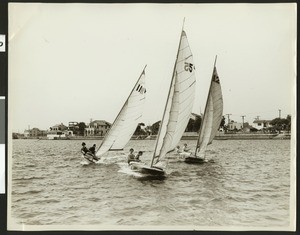 Three sailboats, each manned by two boaters, ca.1930