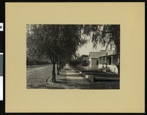 Homes on Date Street in Rialto, ca.1907