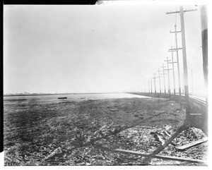 The Long Beach and San Pedro Pacific Electric line looking north, ca.1905