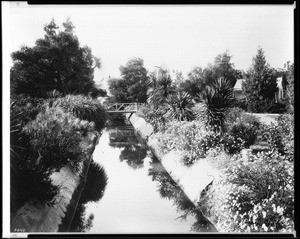 Close-up view of the Zanja Madre, the main irrigation ditch in Riverside, 1903