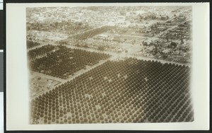 Aerial view of flooding in Anaheim, ca.1930