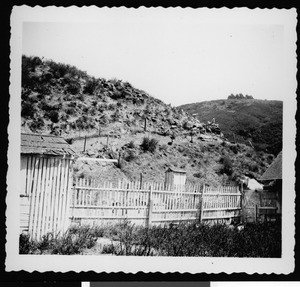 Goats on a hill at a small goat ranch in the canyon near Laguna Beach, ca.1950